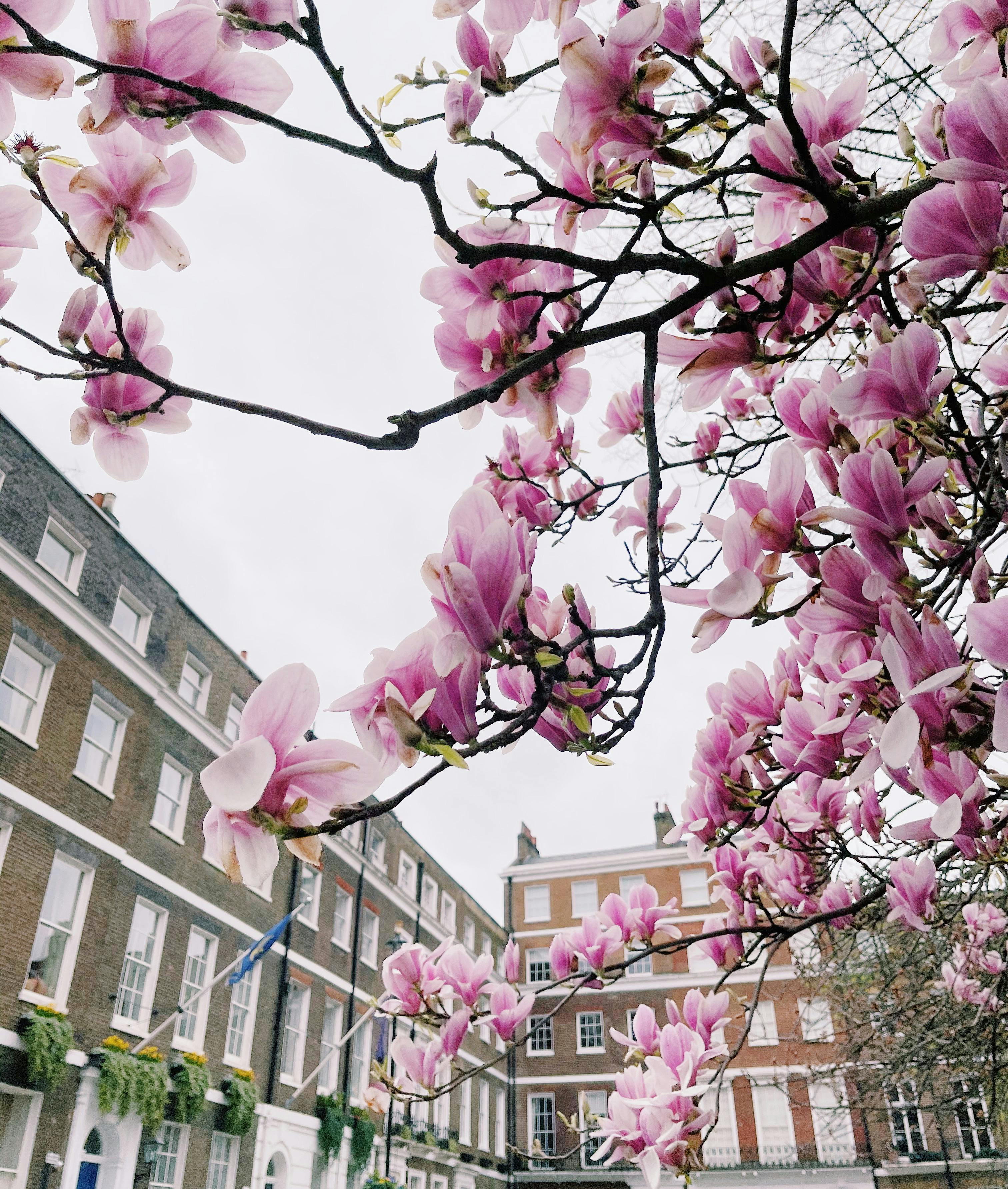Revolutionising Property Maintenance: How AI is Transforming UK Residential Management